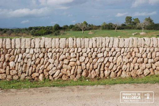 Dry wall in Mallorca