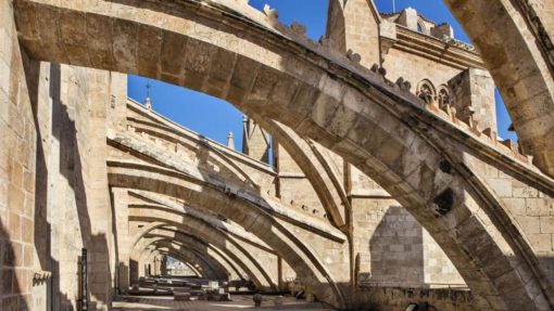 Cathedral of Palma