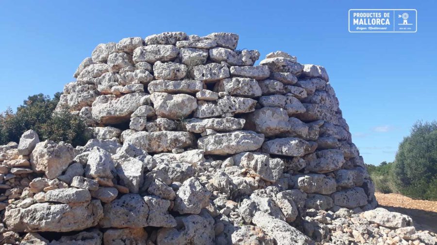 Conquista romana de Mallorca Productes de Mallorca